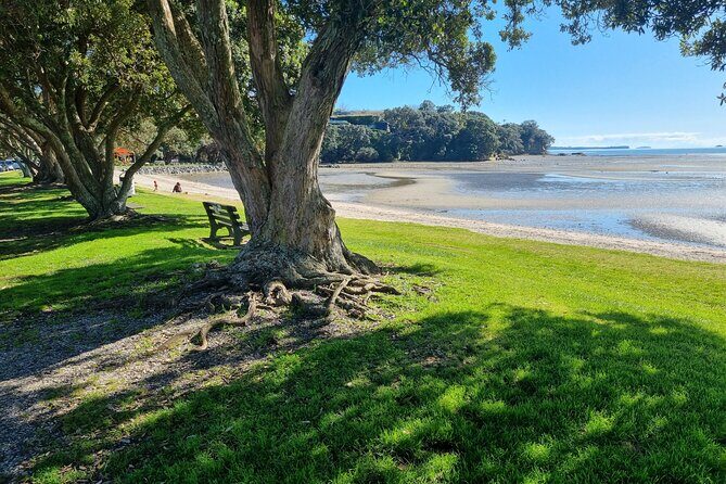Auckland Town and Country Delights Tour - Key things that make this Auckland tour work