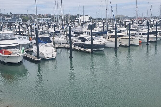 Auckland Town and Country Delights Tour - Small group size, pickup options, and what the $183.07 really buys