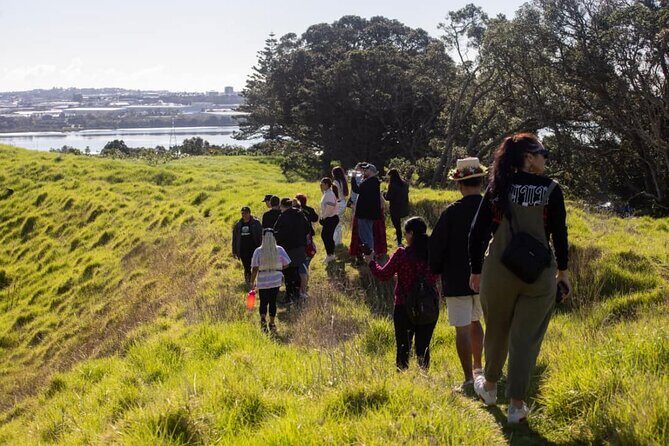 Auckland Urban Māori Experience with Transportation - Price and comfort: private, air-conditioned transport that actually matters