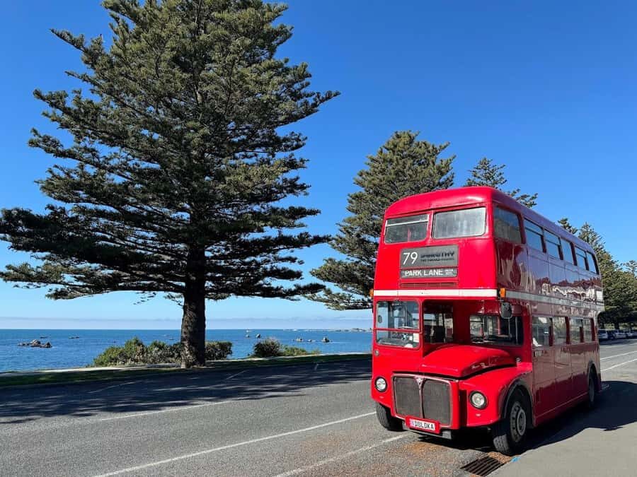 Auckland: Vintage Double-Decker Bus Sightseeing Tour - Key things I’d circle before you book