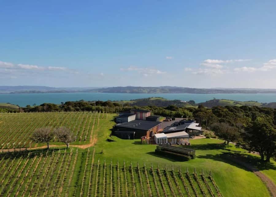 Auckland: Waiheke Island Wine and Food Tasting with Flights - Key Points to Know Before You Go