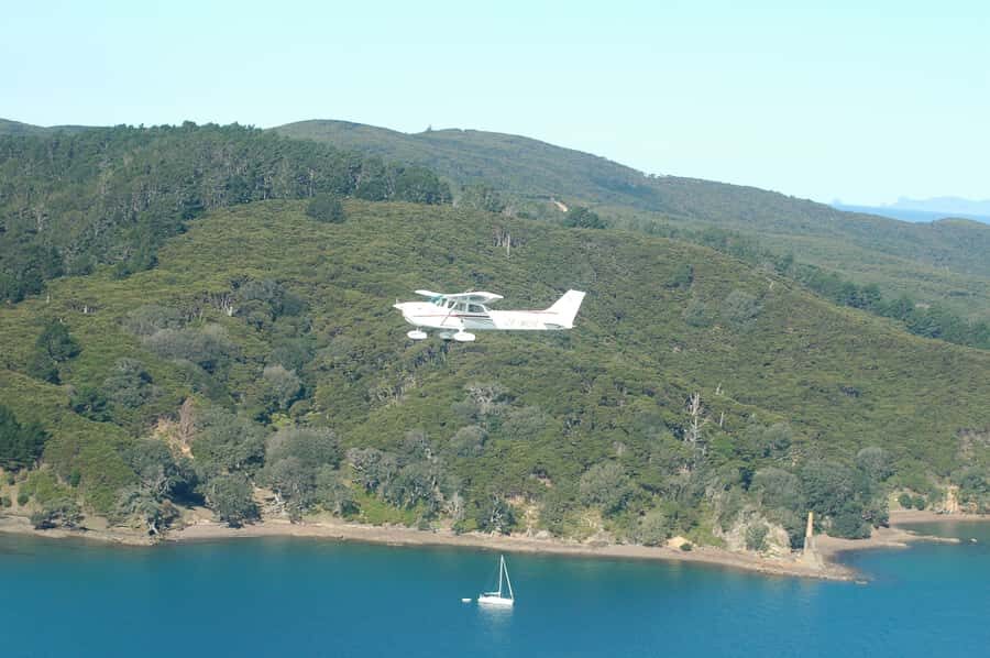 Auckland: Waiheke Island Wine and Food Tasting with Flights - Waiheke Island by Batch Winery: Lunch With a View That Feels Like Part of the Meal