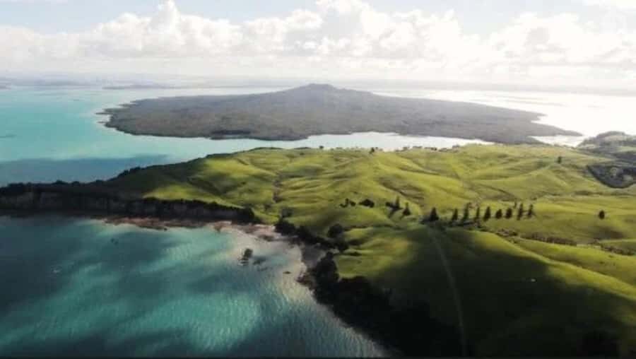 Auckland: Waiheke Island Wine and Food Tasting with Flights - The Island Drive and Photo Stops: Small Moments That Make It Feel Like a Day Out