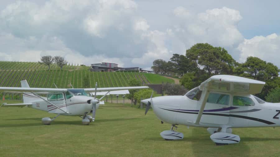 Auckland: Waiheke Island Wine and Food Tasting with Flights - Ferry Back to Auckland: A Smooth Ending Without the Afterthought