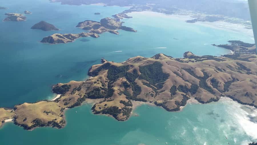 Auckland: Waiheke Island Wine and Food Tasting with Flights - Price and Value: What You’re Really Paying for at $388