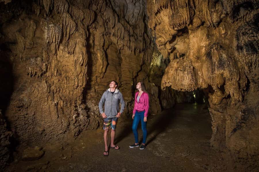 Auckland: Waitomo Caves & Rotorua - Te Puia Small-Group Tour - Who should book this tour (and who should skip it)