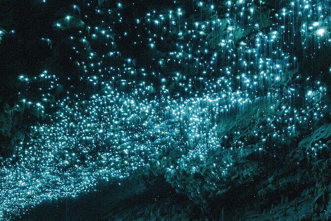 Auckland : Waitomo Spellbound Glow Worm Twin Caves Private Tour - Auckland Pickup to Waitomo: a long day made easier
