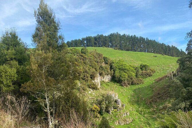Auckland : Waitomo Spellbound Glow Worm Twin Caves Private Tour - Te Ana o Te Atua: Cave of the Spirit and its dramatic limestone world