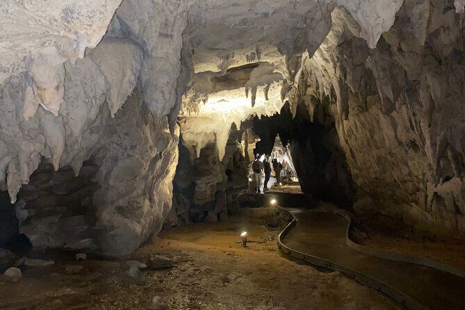 Auckland : Waitomo Spellbound Glow Worm Twin Caves Private Tour - Tea or coffee break: why this pause improves the cave day