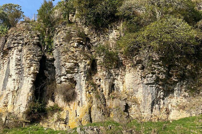 Auckland : Waitomo Spellbound Glow Worm Twin Caves Private Tour - Otorohanga lunch stop: how to handle food without losing momentum