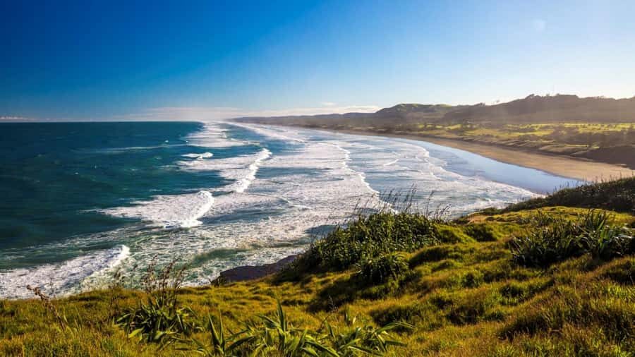 Auckland: West Coast Discovery - Key Things That Make This Tour Work So Well