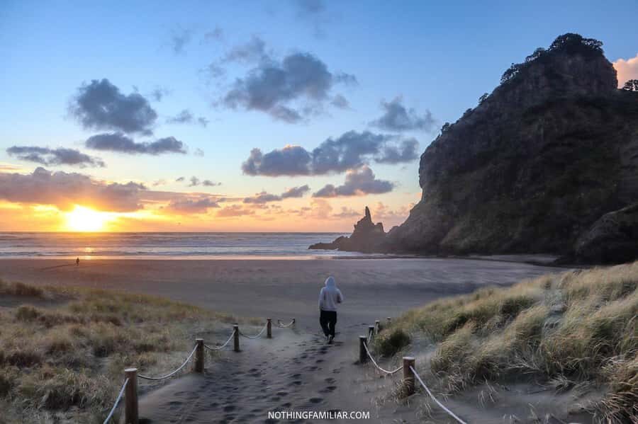 Auckland: West Coast Discovery - West Coast in 6 Hours: What You’re Really Getting