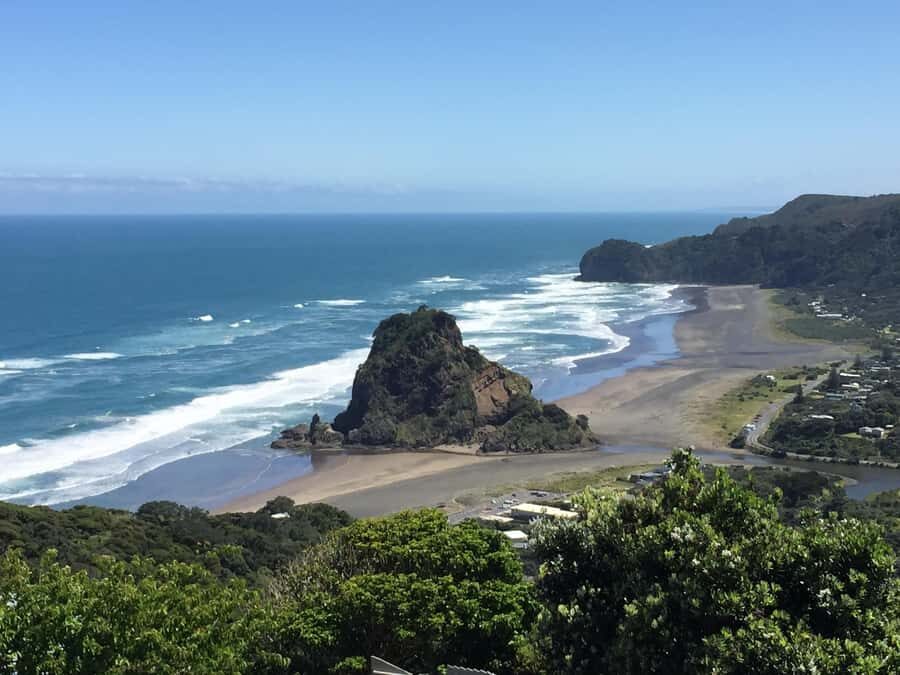Auckland: West Coast Discovery - Arataki Visitor Centre: Panoramas Plus Native Tree Context