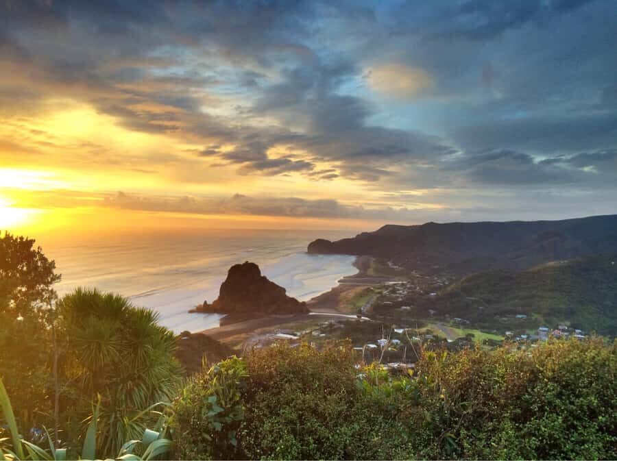 Auckland: West Coast Discovery - Auckland Pickup to Waitakere Ranges Views: The Drive That Sets Expectations