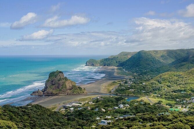 Auckland West Coast Half-Day Private Tour - Key Highlights You’ll Care About Most