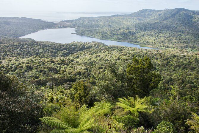 Auckland West Coast Half-Day Private Tour - Arataki Visitor Centre: Your Waitākere Ranges Orientation Stop