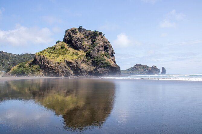 Auckland West Coast Half-Day Private Tour - What 4 Hours Really Means at Arataki and Piha
