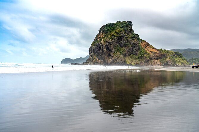 Auckland West Coast Half-Day Private Tour - The Private SUV Route: Comfort, Stops, and How the Day Flows