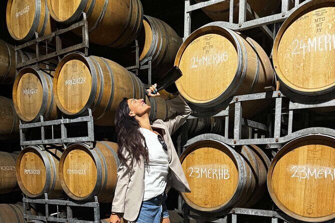 Auckland West Vineyard Tour with lunch and tastings incl - Key highlights at a glance