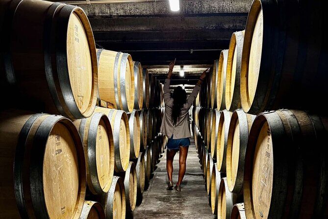 Auckland West Vineyard Tour with lunch and tastings incl - How this Auckland West wine day really works (and why it feels easy)