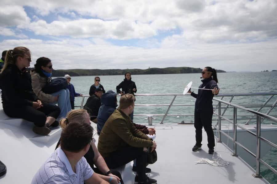 Auckland: Whale and Dolphin Watching Half-Day Eco Cruise - Quick hits before you go