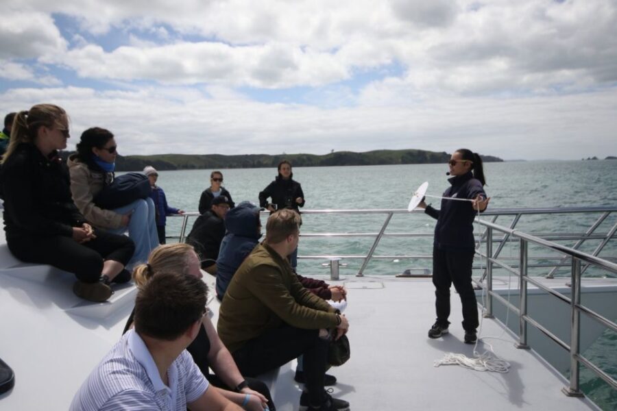 Auckland: Whale and Dolphin Watching Half-Day Eco Cruise - Comfort, weather, and what to pack for a sea day