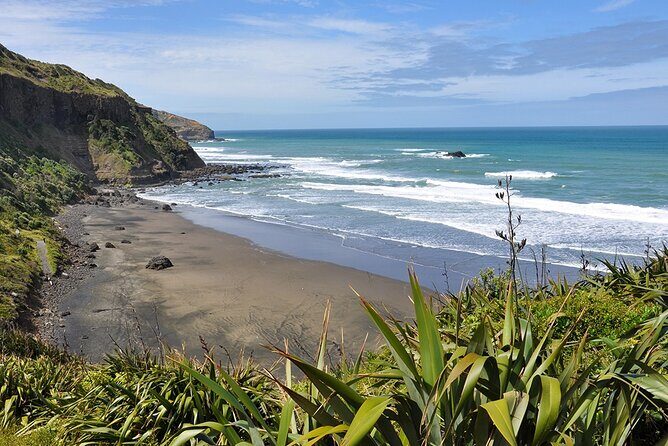 Auckland's Wild West Coast & Black Sand Beaches Tour inc Lunch - Key takeaways before you go