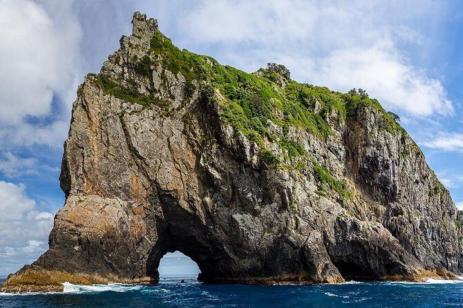 Bay of Islands 2-Day Small Group Tour & Cruise from Auckland - Key moments that make this tour click
