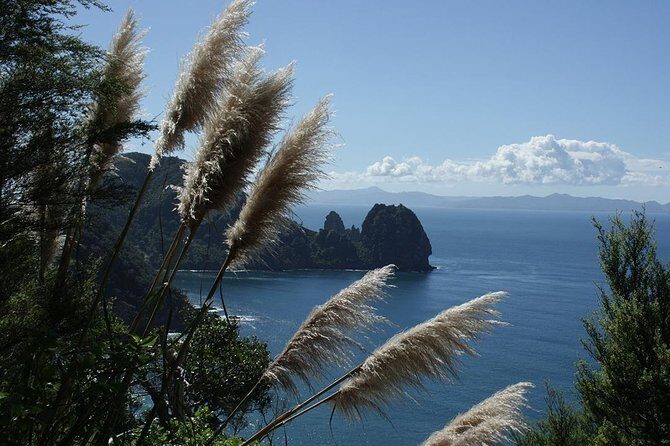 Bay of Islands 2-Day Small Group Tour & Cruise from Auckland - Waitangi Treaty Grounds: a guided tour that keeps it from getting confusing