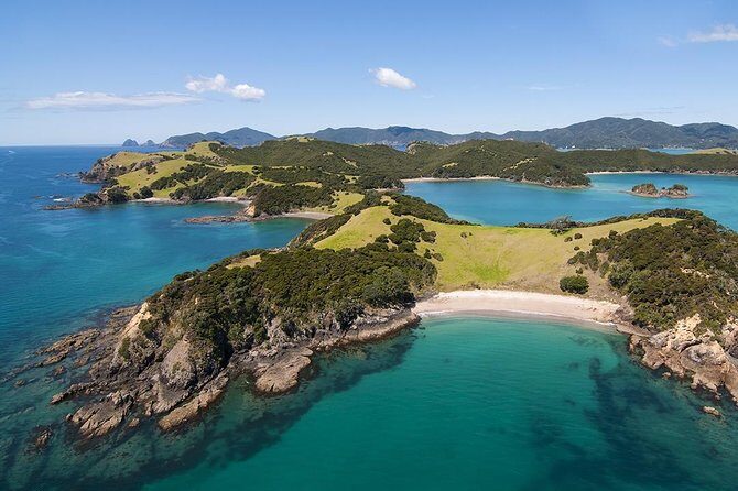 Bay of Islands 2-Day Small Group Tour & Cruise from Auckland - The 6:30am Auckland start: Kauri Museum and the drive out of the city