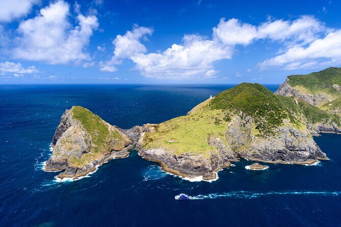 Bay of Islands Discovery Experience from Auckland incl. Hole In The Rock Cruise - Price and value: what NZD 650.98 buys you