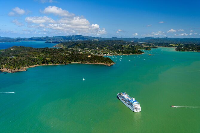 Bay of Islands Discovery Experience from Auckland incl. Hole In The Rock Cruise - Should you book this Auckland to Bay of Islands experience?