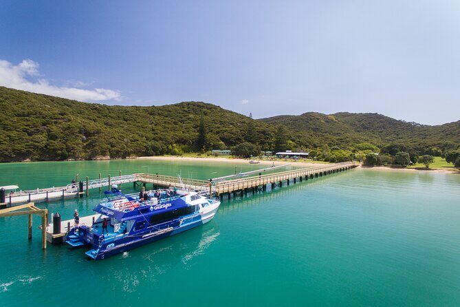 Bay of Islands Discovery Experience from Auckland incl. Hole In The Rock Cruise - Cape Brett, the rock passage, and why the route matters