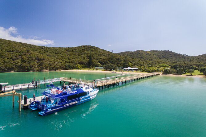 Bay of Islands Explorer Experience Small Group Tour From Auckland - The drive north: Auckland Harbour Bridge and real Northland scenery