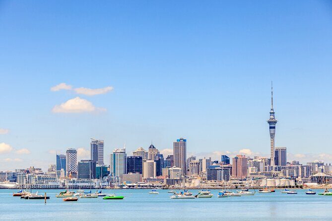 Bay of Islands Private Tour - Price and Logistics: Private Pickup, Private Group, No Guesswork