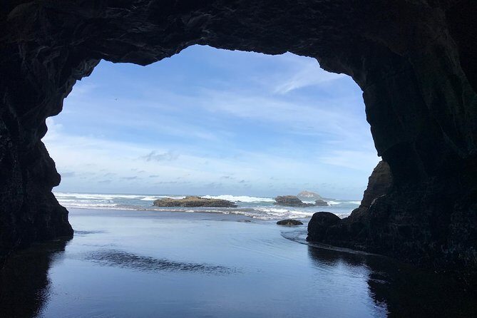 Beautiful Nature Tours Auckland - Private Tour - Rainforest + black-sand beach: the natural contrast that makes Auckland feel new
