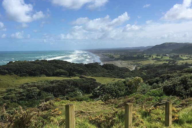 Beautiful Nature Tours Auckland - Private Tour - Wildlife spotting: what’s likely and what’s a bonus