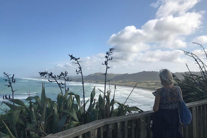 Beautiful Nature Tours Auckland - Private Tour - Picnic-style break: what you should count on (and what to double-check)