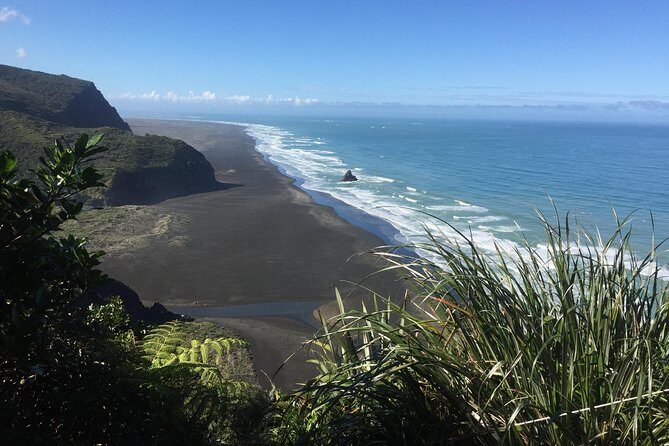 Beautiful Nature Tours Auckland - Private Tour - Muriwai Gannet Colony: the stop that drives the whole day