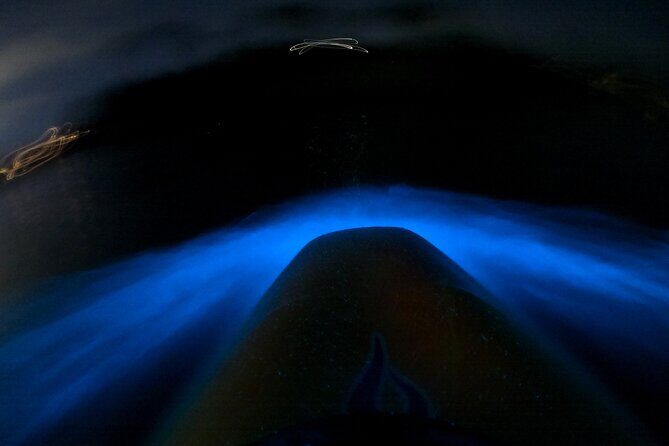 Bioluminescence Kayak Tour - Est. 1994 - Key Things To Know Before You Paddle