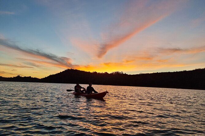 Bioluminescence Kayak Tour - Est. 1994 - Getting To Long Bay–Okura: Rosedale Meeting Point And First-Time Kayak Comfort