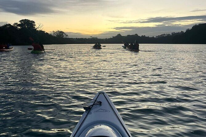 Bioluminescence Kayak Tour - Est. 1994 - What You Pay For: $73.85 Value With Gear, Tuition, And Small Groups