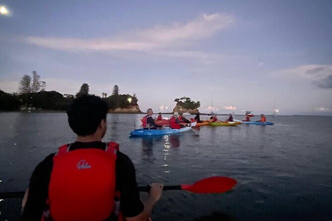 Bioluminescence Kayak Tour - Est. 1994 - Should You Book This Auckland Bioluminescent Kayak Tour?