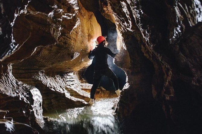 Black Abyss: Ultimate Waitomo Caving - Private Tour from Auckland - From Auckland at 6:00am to Waitomo: the ride sets expectations