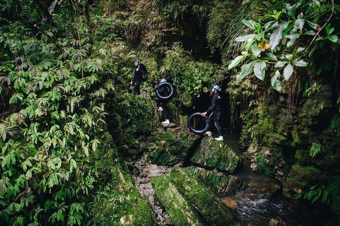 Black Abyss: Ultimate Waitomo Caving - Private Tour from Auckland - Private tour logistics: small group, better pacing, more attention