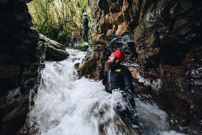 Black Abyss: Ultimate Waitomo Caving - Private Tour from Auckland - Price and value: why this private Waitomo day costs $775.10