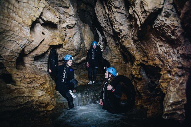 Black Labyrinth: Black Water Rafting - Private Tour from Auckland - Kiwi House Otorohanga: getting close to New Zealand’s national bird