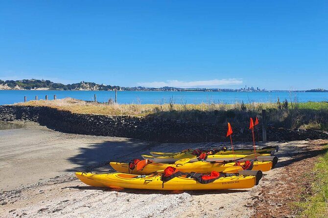 Browns Island Motukorea Sea Kayak Tour - Why Browns Island (Motukorea) is such a strong kayak target