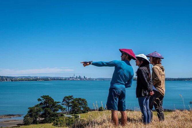 Browns Island Motukorea Sea Kayak Tour - The 1909 aviation story: Alex and Claude Barnard’s flight trials