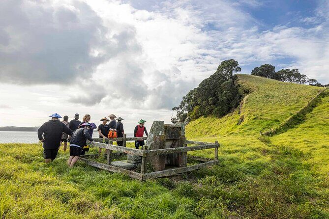 Browns Island Motukorea Sea Kayak Tour - Price and value: what $93.09 buys you in Auckland